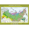 Карта "География 6 класс. Природные зоны России" (100х140)