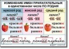 Комплект таблиц "Русский язык 3 класс" (9 таблиц)