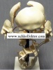Модель "Кости черепа" (смонтированный на одной пластине)