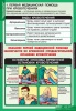 Комплект таблиц "Правила оказания ПМП" (первой медецинской помощи)15 таблиц